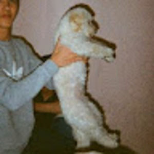 Meet your Posher, Fries